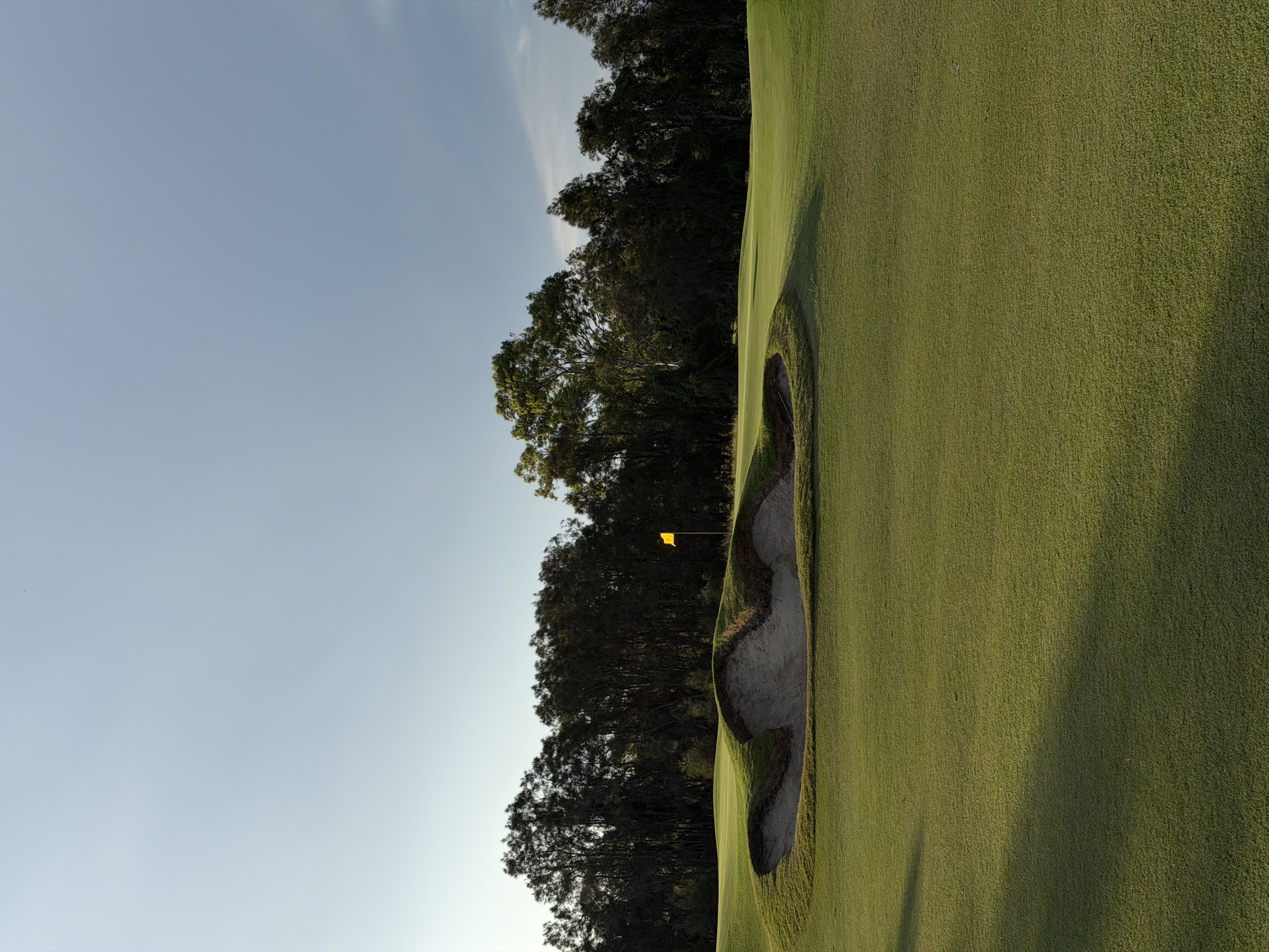 Tee to Green Golf Balls